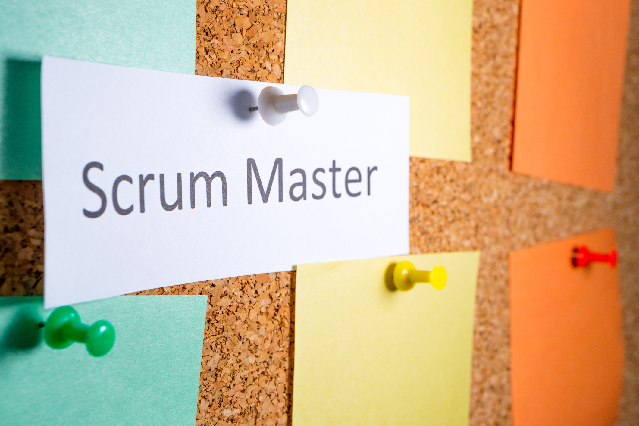 The new scrum guide